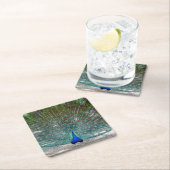 ピーコックパーティーコースター スクエアペーパーコースター (インサイチュ)