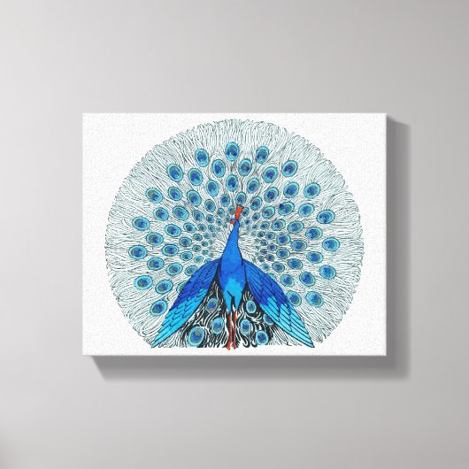 ピーコックビューティフルスケッチ キャンバスプリント (正面)