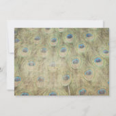 ピーコックビンテキスをするージウエディング招待状 招待状 (裏面)