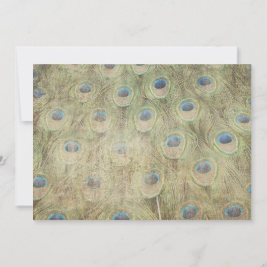 ピーコックビンテキスをするージウエディング招待状 招待状 (裏面)