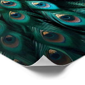 ピーコックピエレガントックピーニー ポスター (角)