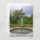 ピーコックファウンテン&バラガーデンinウィンターパークFL ポストカード (正面/裏面)