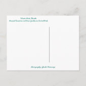 ピーコックファウンテン&バラガーデンinウィンターパークFL ポストカード (裏面)