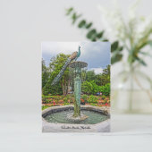 ピーコックファウンテン&バラガーデンinウィンターパークFL ポストカード (スタンド正面)