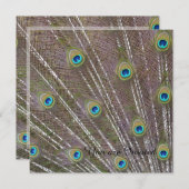 ピーコックフィー バースデー 招待状 (正面/裏面)