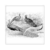 ピーコックフェザントミックススクラップブック作り ラバースタンプ (インプリント)