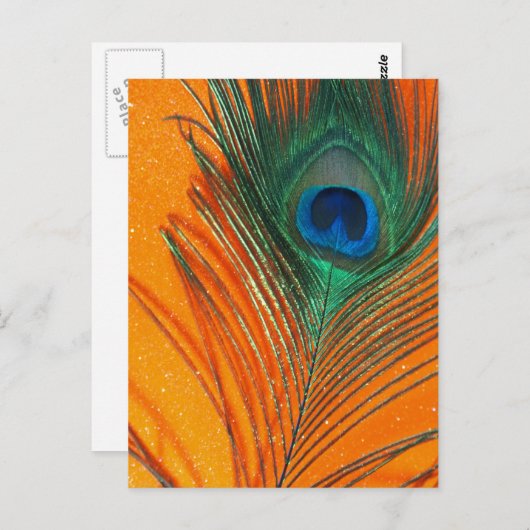 ピーコックフェザーとオレンジグリッタースチルライフ ポストカード (正面/裏面)