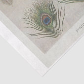 ピーコックフェザーエフェメラデクページ 薄葉紙 (詳細)