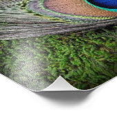 ピーコックフェザーオングリーンモスフォトグラフィープリント フォトプリント (角)