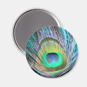 ピーコックフェザーオンターコイズ マグネット (正面/裏面)