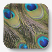 ピーコックフェザーズカウアイハワイ ペーパープレート (正面)