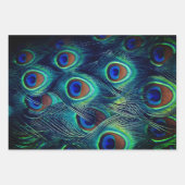 ピーコックフェザーズコレクション ラッピングペーパーシート (正面)