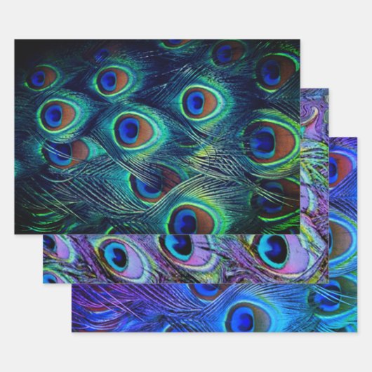 ピーコックフェザーズコレクション ラッピングペーパーシート (セット)
