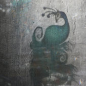 ピーコックフェザーティール(緑がかった色)ピーコック ウィンドウサイン