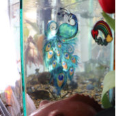 ピーコックフェザーティール(緑がかった色)ピーコック ウィンドウサイン