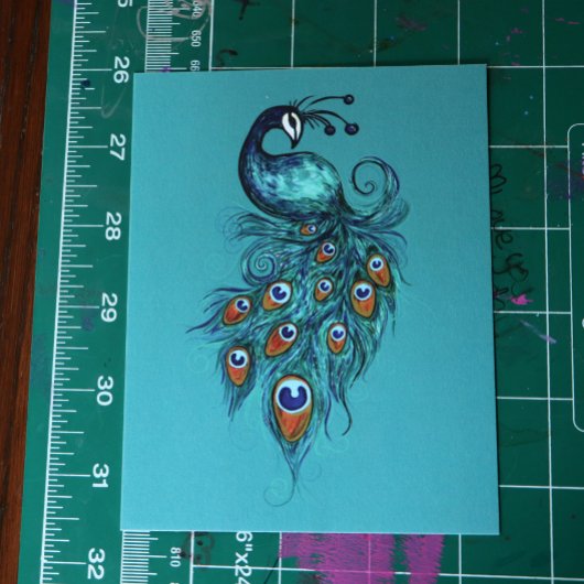 ピーコックフェザーティール(緑がかった色)ピーコック ポストカード