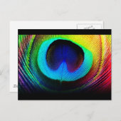 ピーコックフェザーデザイン ポストカード (正面/裏面)