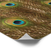 ピーコックフェザープリント ポスター (角)