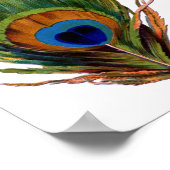 ピーコックフェザープリント ポスター (角)