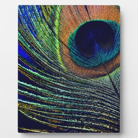 ピーコックフェザーボヘミアン フォトプラーク (正面)