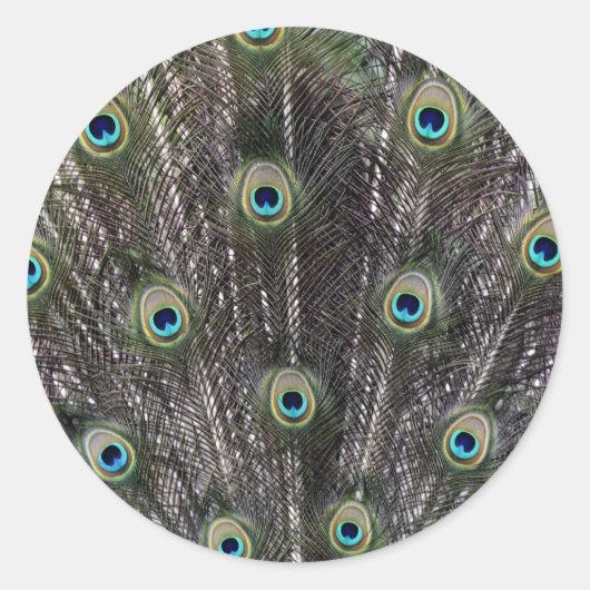 ピーコックフェザー封筒用シールステッカー ラウンドシール (正面)