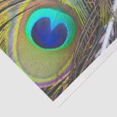 ピーコックフェザー1デクページティッシュペーパー 薄葉紙 (詳細)