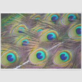 ピーコックフェザー1デクページティッシュペーパー 薄葉紙