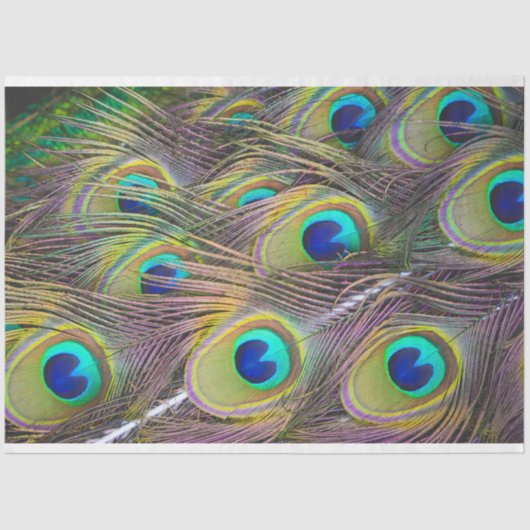 ピーコックフェザー1デクページティッシュペーパー 薄葉紙 (正面)