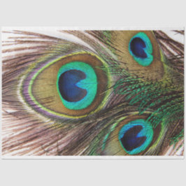 ピーコックフェザー2デクページティッシュペーパー 薄葉紙