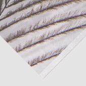 ピーコックフェザー3デクページティッシュペーパー 薄葉紙 (詳細)