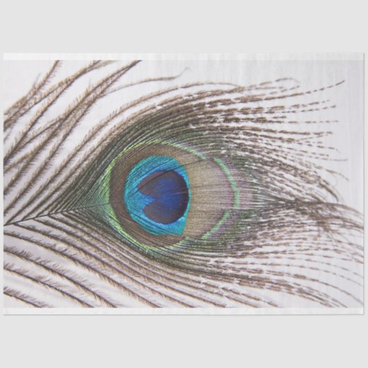 ピーコックフェザー3デクページティッシュペーパー 薄葉紙 (正面)