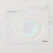 ピーコックフェザー ポストカード (裏面)