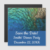 ピーコックフェザーIカラフル抽象芸術自然デザイン (正面/裏面)