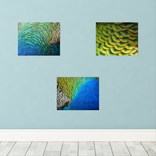 ピーコックフェザーIカラフル抽象芸術自然デザイン (ウッドフロア)