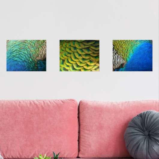 ピーコックフェザーIカラフル抽象芸術自然デザイン (リビング)