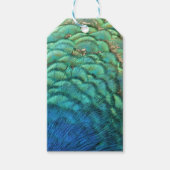 ピーコックフェザーIカラフル抽象芸術自然デザイン ギフトタグ (正面)