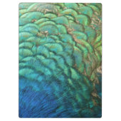 ピーコックフェザーIカラフル抽象芸術自然デザイン クリップボード (裏面)