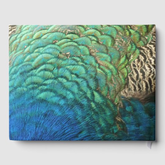 ピーコックフェザーIカラフル抽象芸術自然デザイン ゲストブック (裏面)