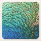 ピーコックフェザーIカラフル抽象芸術自然デザイン スクエアペーパーコースター (正面)