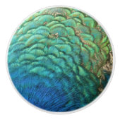 ピーコックフェザーIカラフル抽象芸術自然デザイン セラミックノブ (正面)