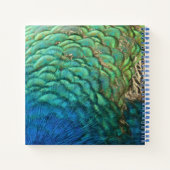 ピーコックフェザーIカラフル抽象芸術自然デザイン ノートブック (裏面)