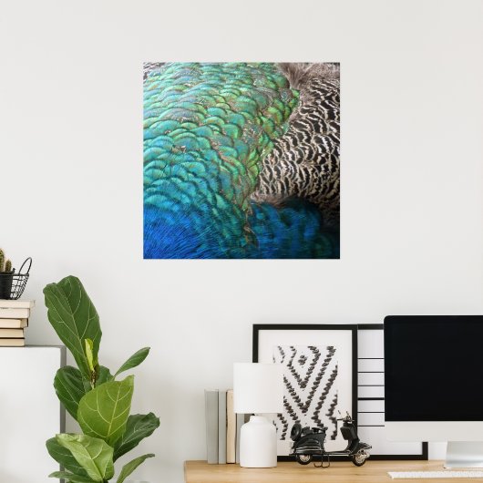 ピーコックフェザーIカラフル抽象芸術自然デザイン ポスター (ホームオフィス)