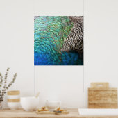 ピーコックフェザーIカラフル抽象芸術自然デザイン ポスター (キッチン)