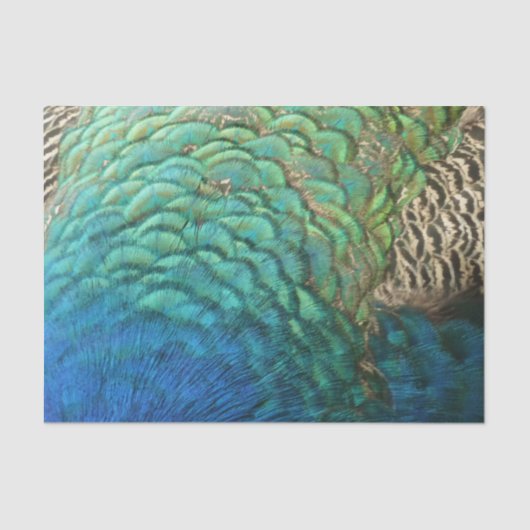 ピーコックフェザーIカラフル抽象芸術自然デザイン 薄葉紙 (正面)