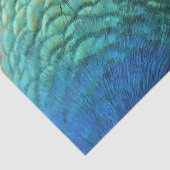 ピーコックフェザーIカラフル抽象芸術自然デザイン 薄葉紙 (詳細)