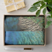 ピーコックフェザーIカラフル抽象芸術自然デザイン 薄葉紙 (ギフト)