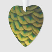 ピーコックフェザーIIカラフル自然 オーナメント (正面)