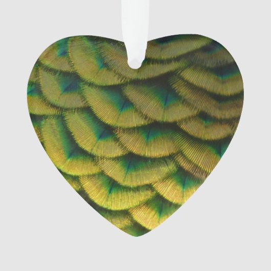 ピーコックフェザーIIカラフル自然 オーナメント (正面)