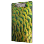 ピーコックフェザーIIカラフル自然 クリップボード (左)