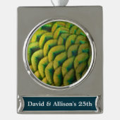 ピーコックフェザーIIカラフル自然 シルバープレートバナーオーナメント (正面)